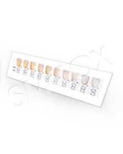 Smilox Teeth Whitening Shade Guide